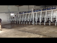 automatic milking parlor