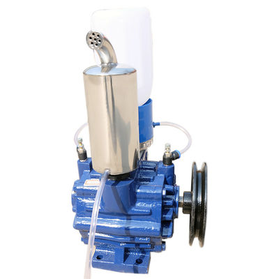 220V 90Kpa دوارة فراغ مضخة دوارة محرك الحزام التبديل