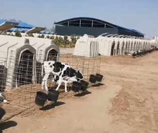 ملاجئ بلاستيكية مجلفنة بطول 220 سم سهلة التنظيف