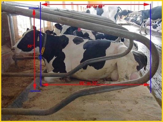 وجهاً لوجه نوع 1.30m / بقرة سياج الماشية مجاني كشك قابل للتعديل الحجم