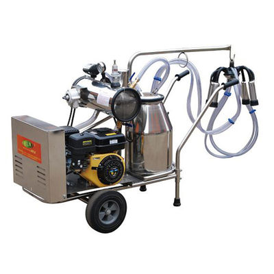 24cows / H Automatic Milk Machine SS304 معدات حلب الأغنام