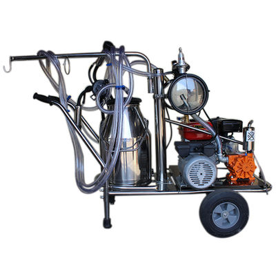 24cows / H Automatic Milk Machine SS304 معدات حلب الأغنام