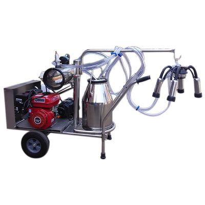 24cows / H Automatic Milk Machine SS304 معدات حلب الأغنام