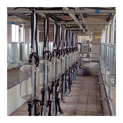 Dairy Farm محلب عظم السمكة 4KW مع زجاج بدرجة الطعام