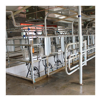 Dairy Farm محلب عظم السمكة 4KW مع زجاج بدرجة الطعام