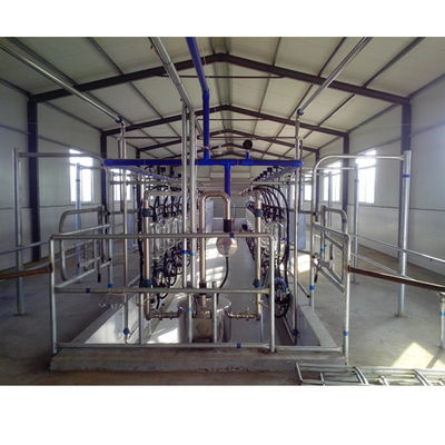 SS304 Herringbone Parlor Milking Systems معدات بقرة الألبان
